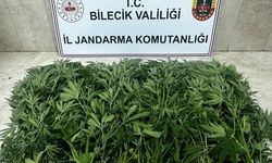 Hint keneviri yetiştirdikleri iddiasıyla 2 zanlı tutuklandı