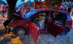 Otomobil ağaca çarptı:  2 kişi öldü, 6 kişi yaralandı