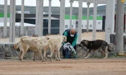 O düzenleme yasalaştı!