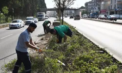 Yalova'da orta refüjlerde temizlik yapıldı