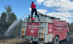 Arazi yangını söndürüldü