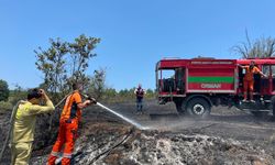 Arazi yangınında 30 dekar alan yandı