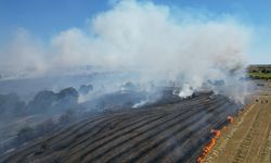 Saray'da feci yangın: 150 hektarlık alan küle döndü