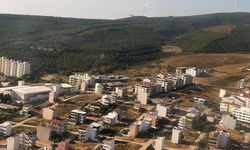 Yalova'da çıkan orman yangınları söndürüldü