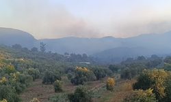 Adana'daki orman yangınına ekipler müdahale ediyor