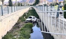 Kanala düşen otomobilin sürücüsü yaralandı