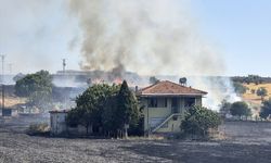 Yangında yaklaşık 5 dönüm buğday tarlası hasar gördü