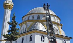 Yaralı bulunan leylek tedavi ediliyor