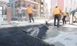 Mahalleliler talep ediyor, belediye yapıyor