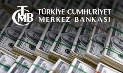 TCMB alım satıma konu olmayan döviz kurları