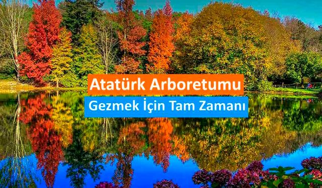 Atatürk Arboretumu'nu Gezmek İçin Tam Zamanı: Unutulmaz Bir Doğa Deneyimi