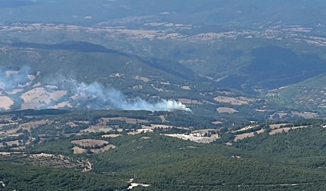 Balıkesir'de orman yangını çıktı