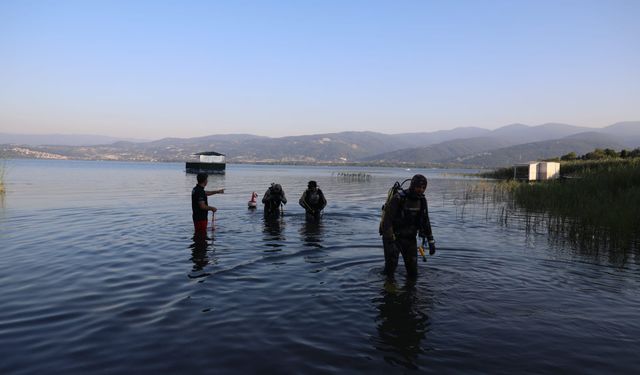 Sapanca Gölü'ndeki balık popülasyonu artacak