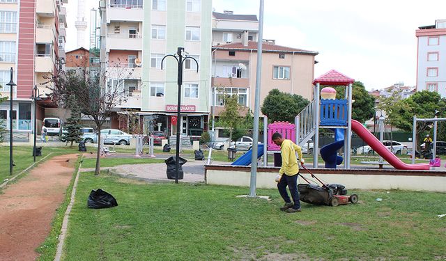 Park ve bahçelerde sonbahar temizliği