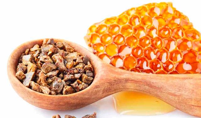 Propolis Nedir? Propolis Faydaları Nelerdir, Ne İşe Yarar?