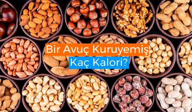 Bir Avuç Kuruyemiş Kaç Kalori? Kuruyemişlerin Kalorileri