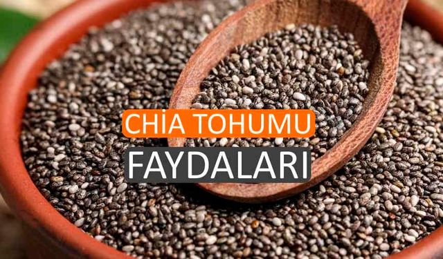 Chia Tohumunun Sağlığa İnanılmaz Faydaları