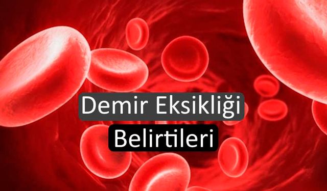 Demir Eksikliği Belirtileri Nelerdir? Demir Eksikliği Nasıl Anlaşılır?