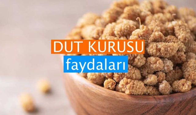 Dut Kurusunun Faydaları: Sağlık İçin Eşsiz Bir Doğal İksir