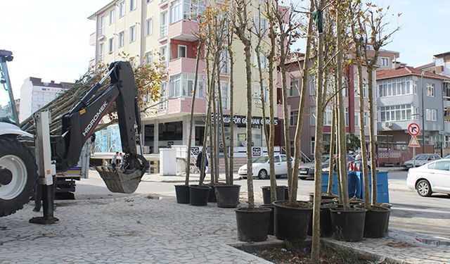 Öztrak Caddesi ağaçlandırılıyor