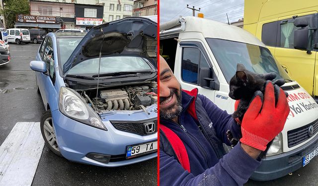 Yavru kedi ısınmak için otomobilin motoruna girdi