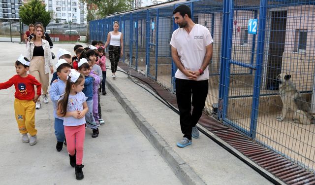 Minikler, hayvanları sevip onlarla vakit geçirdiler