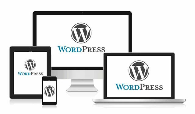 WordPress Nasıl Kullanılır? Web Sitesi Yapmanın Kolay Yolu