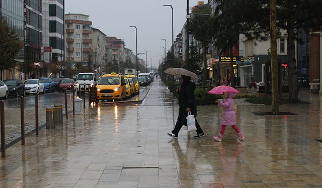 Bereket ne güzel yağdı