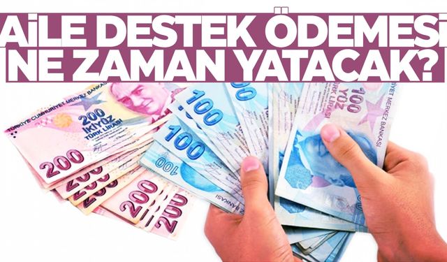 Aralık ayı Aile Destek Ödemeleri yattı mı? Ne zaman yatacak?