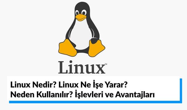 Linux Nedir? Linux Ne İşe Yarar, Neden Kullanılır? İşlevleri ve Avantajları