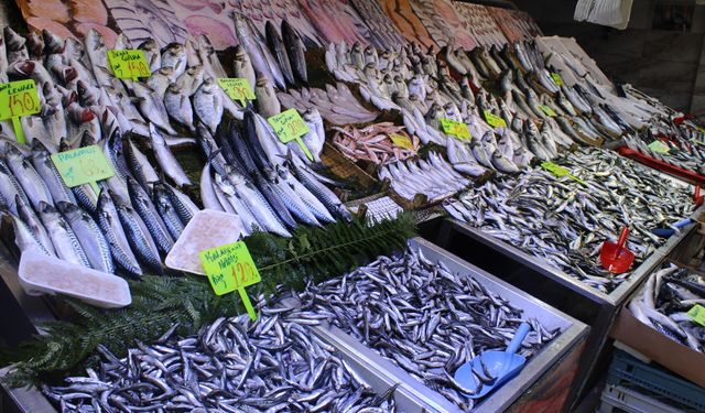 İşte Çerkezköy balık pazarında fiyatlar