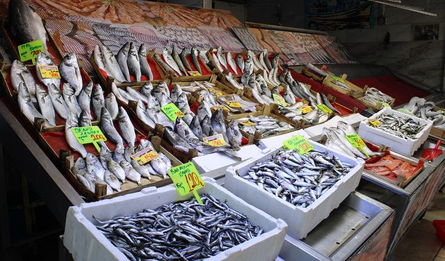 Çerkezköy balık pazarında fiyatlar