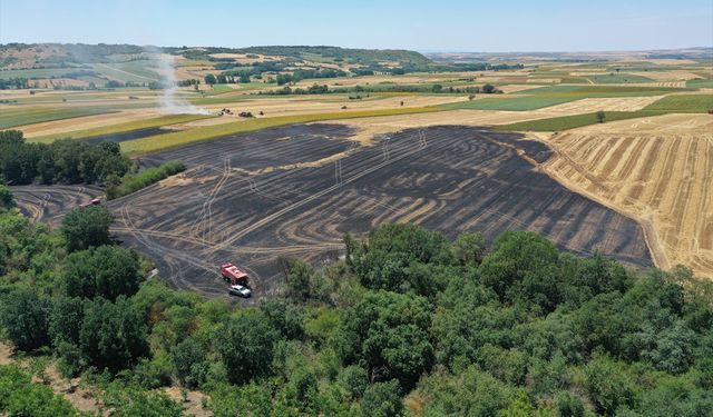 25 dekarlık buğday ekili alan yandı