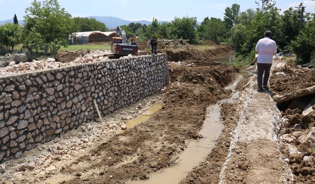 Islah çalışması başlatılan derede görülen kaplumbağalar taşındı