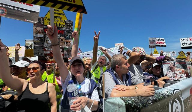 Sahipsiz hayvanlarla ilgili yasal düzenlemeye ilişkin miting yapıldı