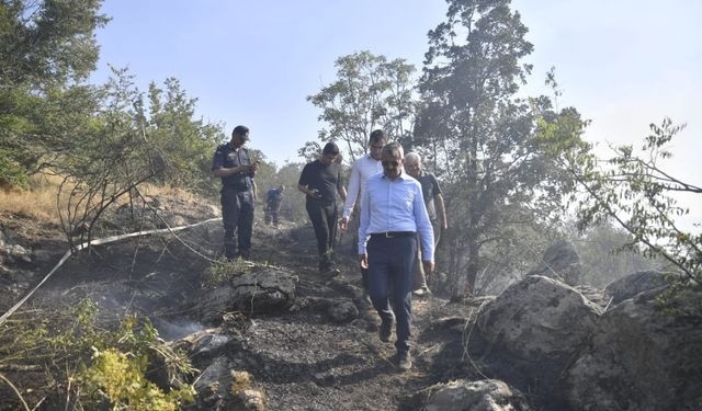 Vali Sezer'den yangından etkilenen ormanlık alanda inceleme