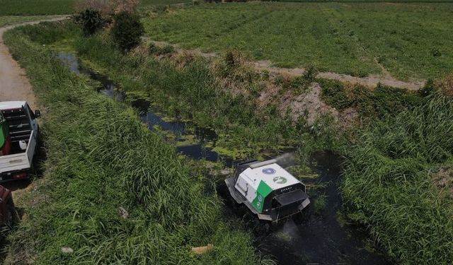 Dere yatakları ilaçlanıyor