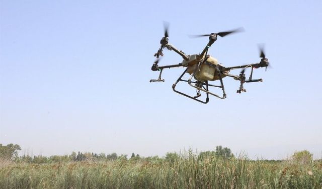 Drone ile ilaçlama başladı