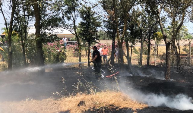 Hatıra ormanında yangın çıktı