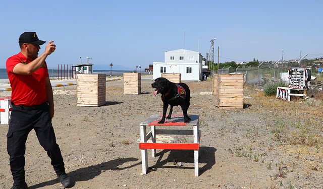 Zehir tacirlerinin korkulu rüyası: "Kayıt" ve "Ulak"