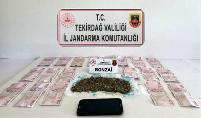 Zehir taciri jandarmaya kıskıvrak yakalandı