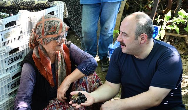 32. Geleneksel Kadırga Şenliği yapıldı