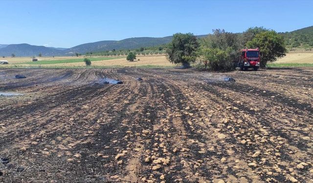 Anız yangınına ilişkin 1 gözaltı