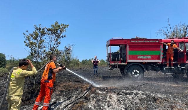 Bilecik’te 30 dekar arazi kül oldu