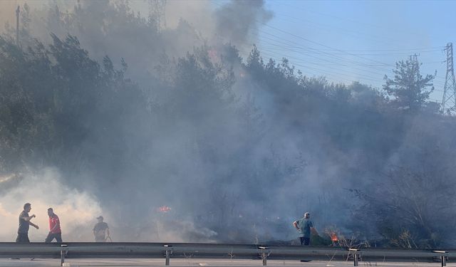 Bilecik'te ormanda çıkan yangın söndürüldü