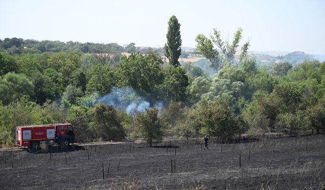 Botanik bahçesinde  çıkan yangın söndürüldü