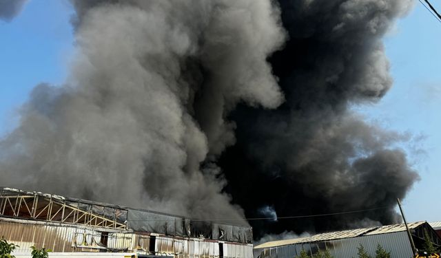 Bursa'da fabrika ve geri dönüşüm tesisinde korkutan yangın