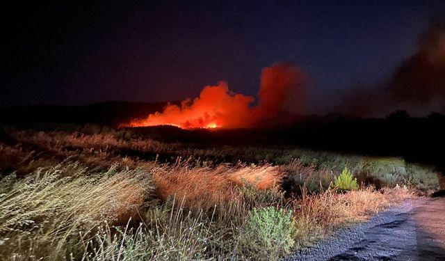 Çıkan orman yangınına müdahale ediliyor