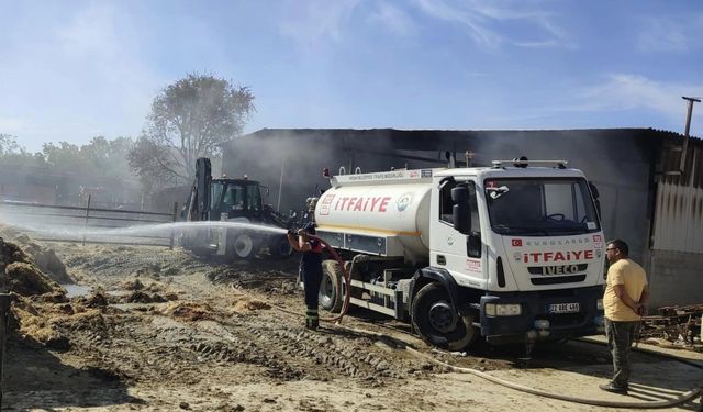 Edirne'de bir çiftlikte yangın çıktı