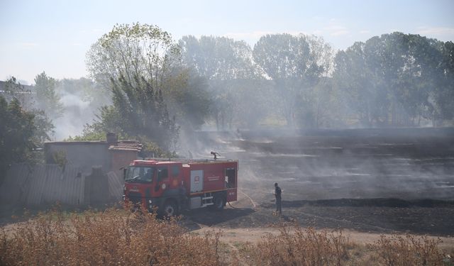 Edirne'de buğday tarlasında yangın çıktı